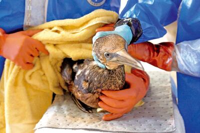 /pf/resources/images/abc-placeholder.png?d=2421