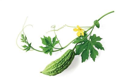 Imagen sin descripción