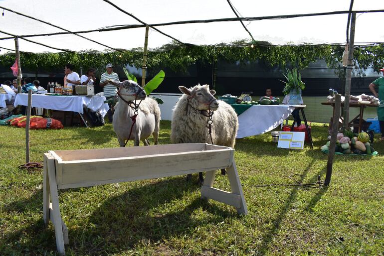 /pf/resources/images/abc-placeholder.png?d=2395