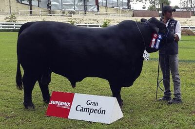 /pf/resources/images/abc-placeholder.png?d=2394