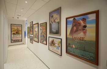 carteles-de-peliculas-protagonizadas-por-mascotas-como-lassie-13507000000-1801301.jpg