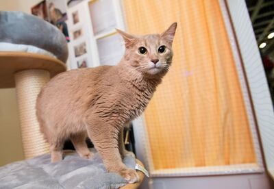 Imagen sin descripción