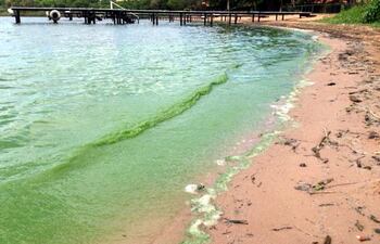 el-color-verdoso-del-lago-ypacarai-seria-basicamente-el-resultado-del-uso-de-fosfatos-en-detergentes-y-jabones--205925000000-1043114.jpg