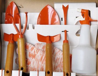 Imagen sin descripción