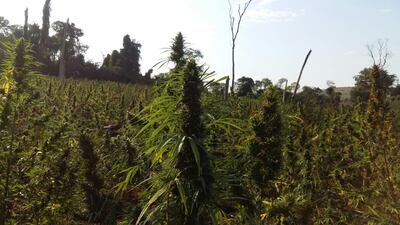 /pf/resources/images/abc-placeholder.png?d=2402