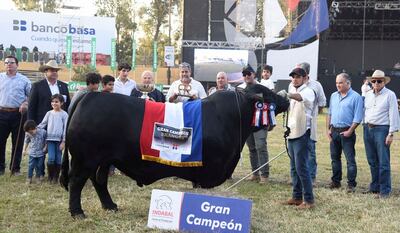 Gran Campeón