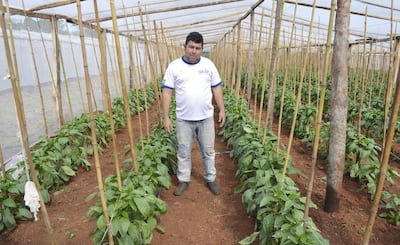 Imagen sin descripción