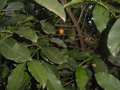 /pf/resources/images/abc-placeholder.png?d=2425