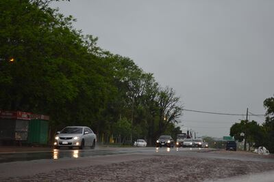 La lluvia ayudará al agro en el  sur.