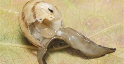 /pf/resources/images/abc-placeholder.png?d=2395