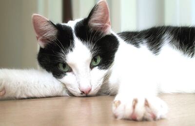 /pf/resources/images/abc-placeholder.png?d=2421