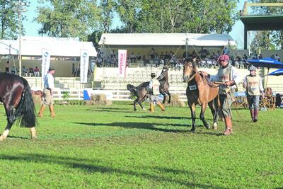 /pf/resources/images/abc-placeholder.png?d=2424