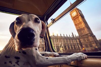 /pf/resources/images/abc-placeholder.png?d=2420