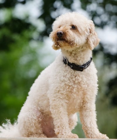 /pf/resources/images/abc-placeholder.png?d=2421