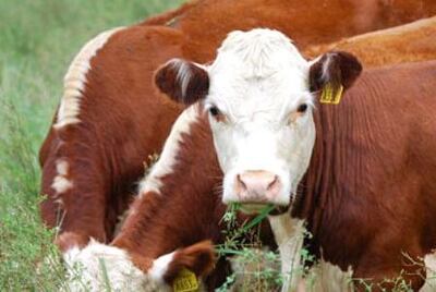 /pf/resources/images/abc-placeholder.png?d=2394