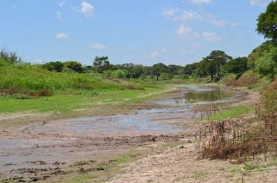 Imagen sin descripción