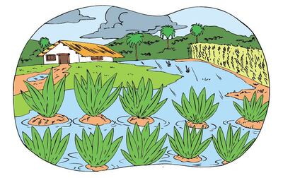 /pf/resources/images/abc-placeholder.png?d=2394