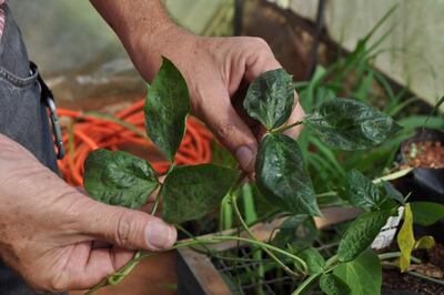 Imagen sin descripción