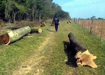 /pf/resources/images/abc-placeholder.png?d=2425