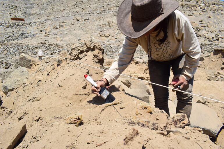 Un investigador desenterrando un perro, en el complejo arqueológico de Sechín.