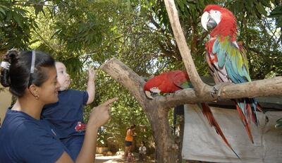 /pf/resources/images/abc-placeholder.png?d=2395