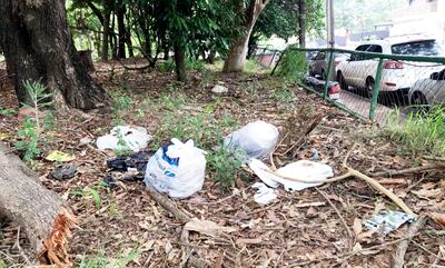 Bolsas de basura arrojadas  en el parque Carlos A. López son potenciales criaderos de mosquitos, alertaron los vecinos.