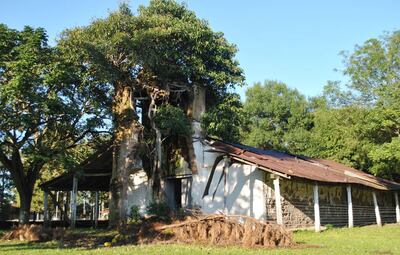 /pf/resources/images/abc-placeholder.png?d=2394