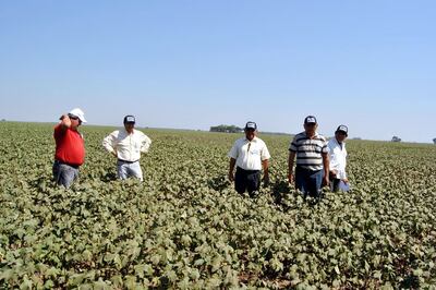 /pf/resources/images/abc-placeholder.png?d=2421