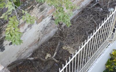 /pf/resources/images/abc-placeholder.png?d=2392