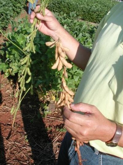 /pf/resources/images/abc-placeholder.png?d=2420