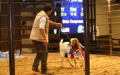 /pf/resources/images/abc-placeholder.png?d=2395