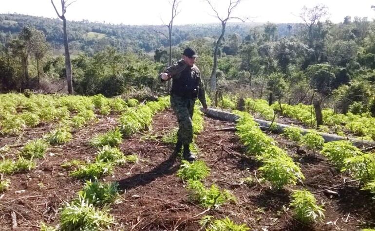 /pf/resources/images/abc-placeholder.png?d=2061