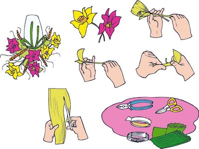 Imagen sin descripción