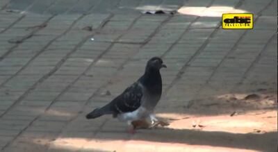 /pf/resources/images/abc-placeholder.png?d=2395