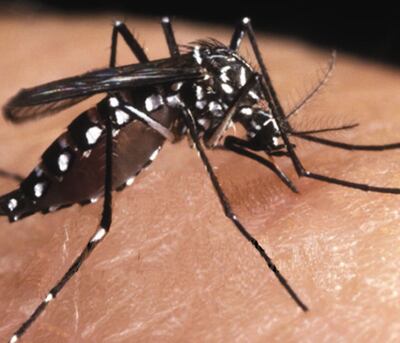 /pf/resources/images/abc-placeholder.png?d=2395