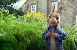 peter-rabbit-135736000000-1679042.jpg