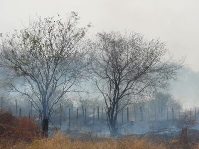 Hay  que fortalecer la capacidad efectiva de respuesta ante estas catástrofes.