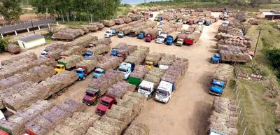 La foto aérea tomada ayer a la mañana muestra la gran cantidad de  camiones varados frente a la planta de Troche (foto El Faro).