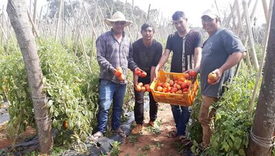 Los productores de Oviedo muestran el fruto de su trabajo, que hoy les produce pérdidas en vez de ganancias.