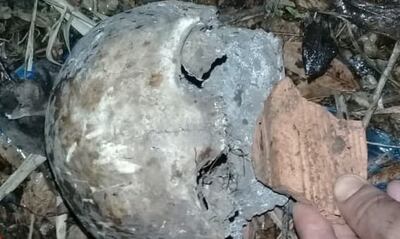 Solamente el cráneo quedó en el sitio. Se cree que el resto del cuerpo pudo haber sido arrastrado por la corriente.