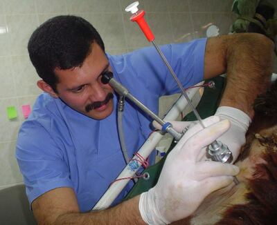 /pf/resources/images/abc-placeholder.png?d=2421