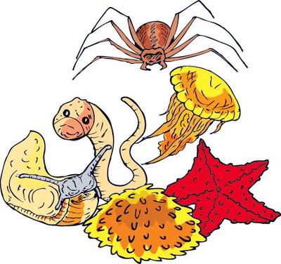 /pf/resources/images/abc-placeholder.png?d=2421