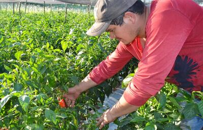 Imagen sin descripción