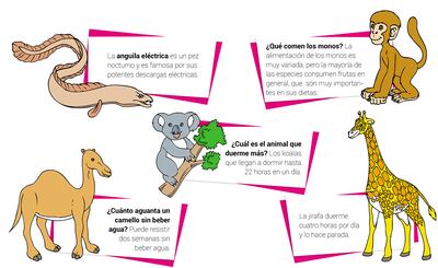 Curiosidades del reino animal