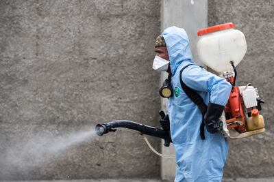 Un funcionario público fumiga una calle en Santo Domingo, República Dominicana.