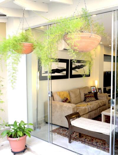 Imagen sin descripción