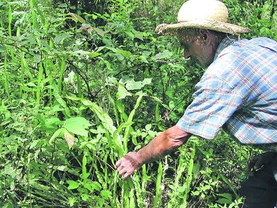 /pf/resources/images/abc-placeholder.png?d=2421