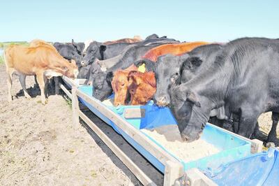 /pf/resources/images/abc-placeholder.png?d=2395