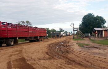 varios-camiones-transportadores-de-ganado-retenidos-de-las-zonas-de-clausura-a-la-espera-de-que-mejoren-las-condiciones-climaticas--202109000000-1588192.jpg