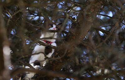 /pf/resources/images/abc-placeholder.png?d=2394